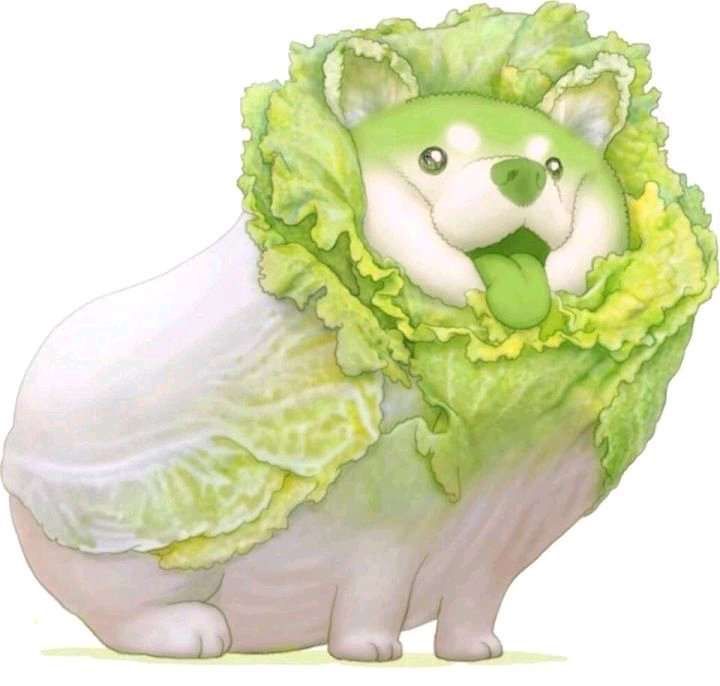 zhj